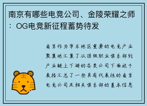 南京有哪些电竞公司、金陵荣耀之师：OG电竞新征程蓄势待发