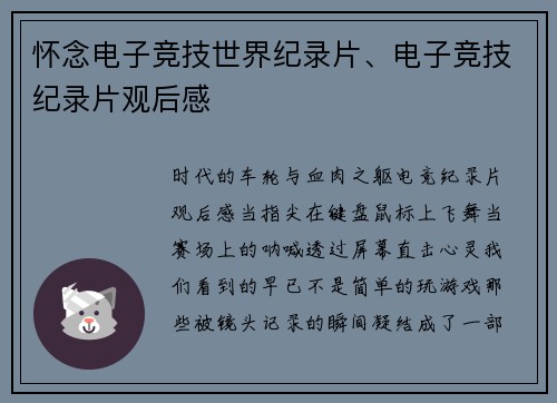 怀念电子竞技世界纪录片、电子竞技纪录片观后感
